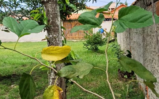 Terreno plano 700m2 Murado com água e luz RGI e Escriturado Araruama